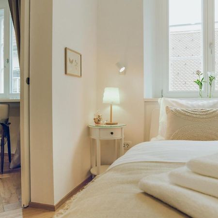 Stylish Apartment In Historical Center Ljubljana Kültér fotó