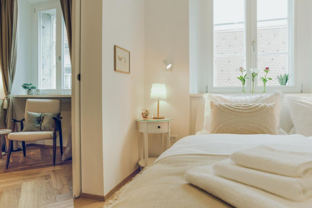 Stylish Apartment In Historical Center Ljubljana Kültér fotó