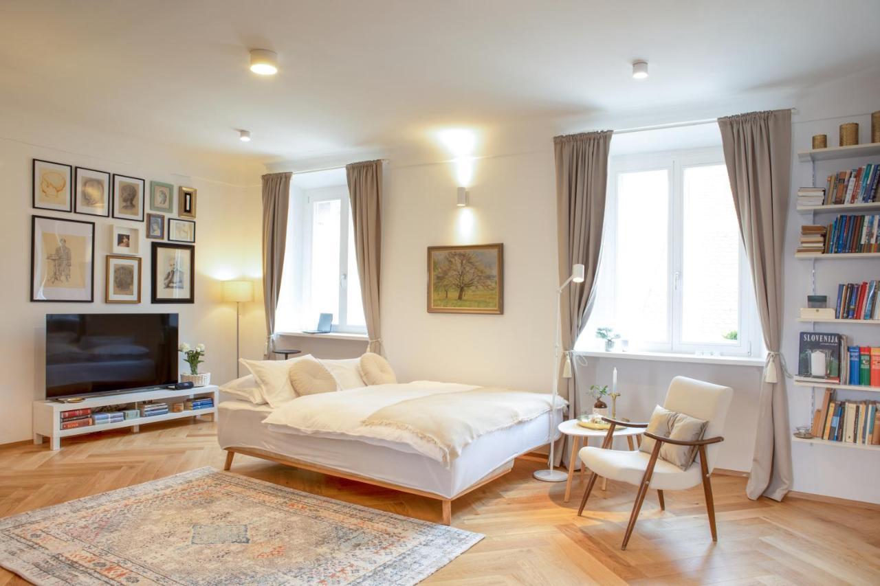 Stylish Apartment In Historical Center Ljubljana Kültér fotó